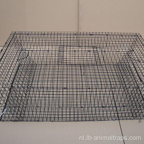 Trap Possum Cage Live Animal Catch Feral Cat